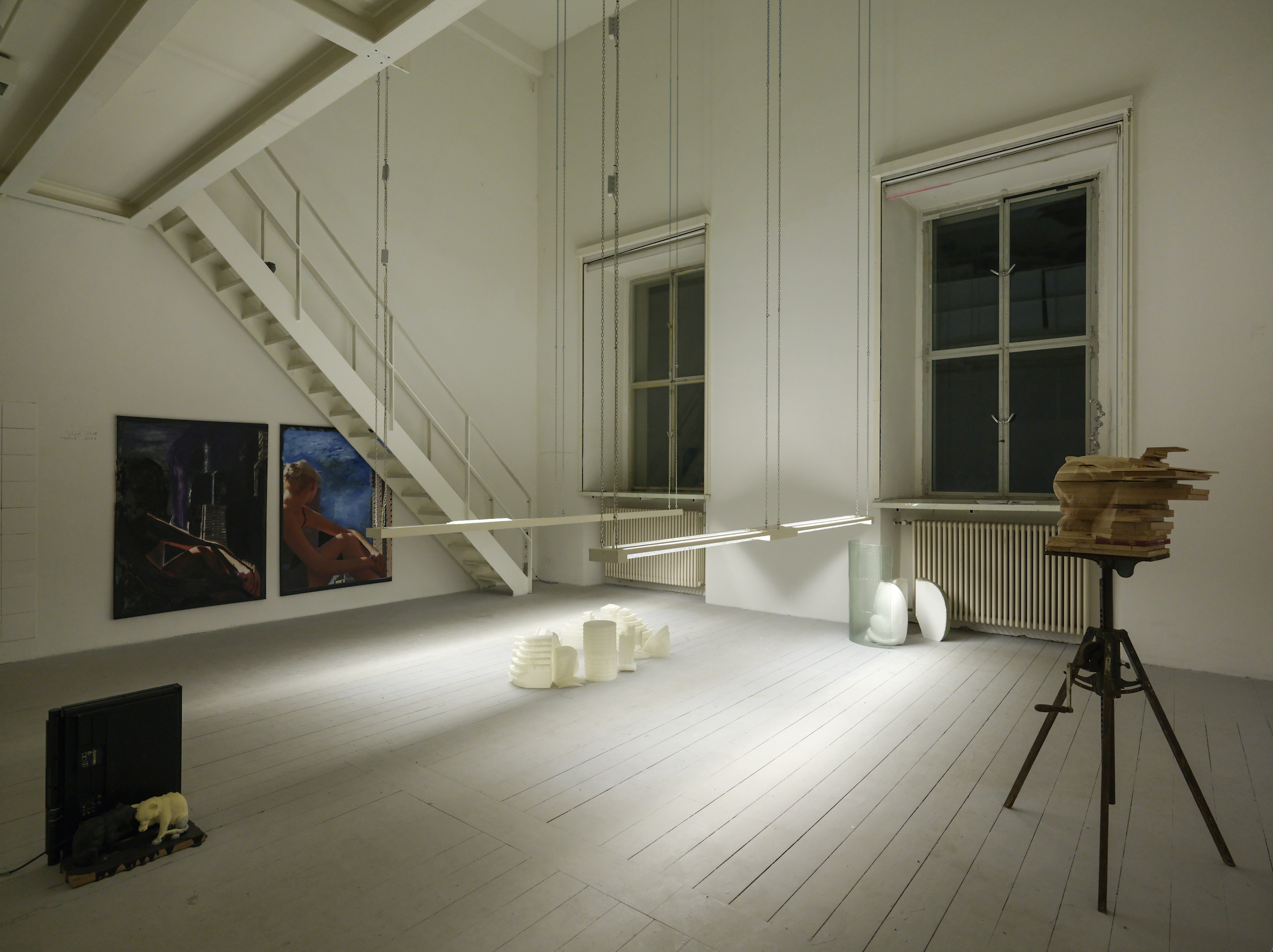 Installation view Clean paws